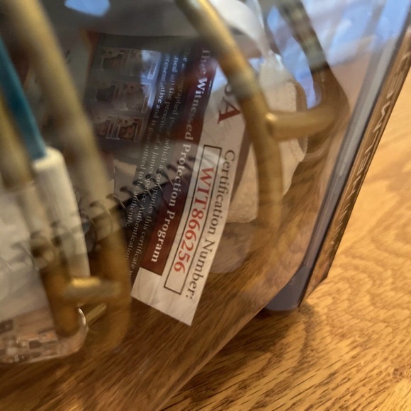 nfl autographed mini helmets Flash Jaguars Fred Taylor jsa certified - Picture 7 of 7